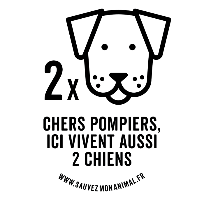 DEUX CHIENS