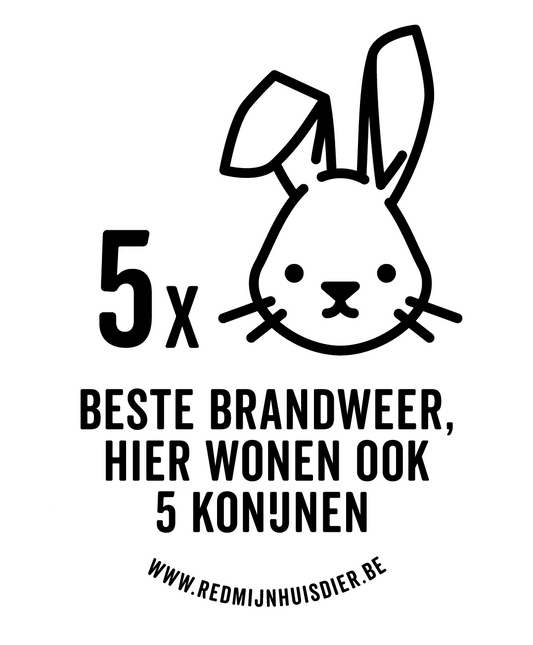 VIJF KONIJNEN