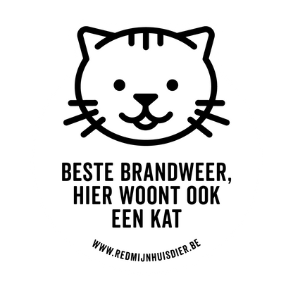 EEN KAT