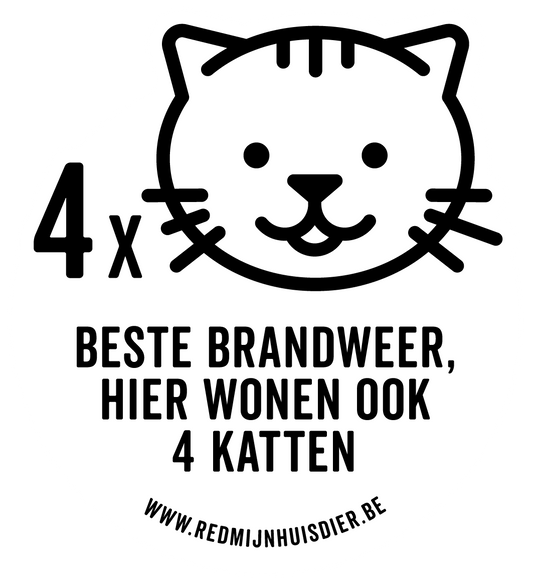 VIER KATTEN
