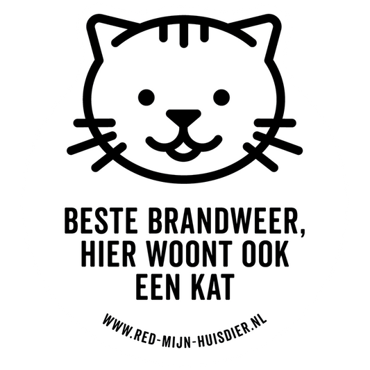 EEN KAT