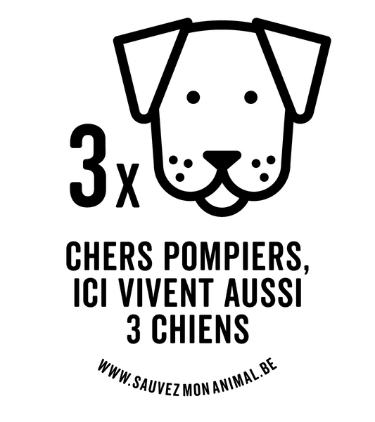 TROIS CHIENS