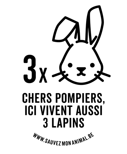 TROIS LAPINS